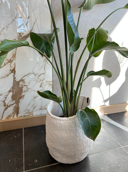 Mifuko Aufbewahrungskorb L verschiedene Farben